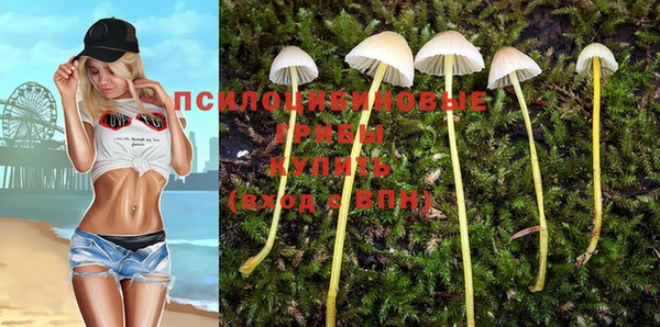СК Алзамай