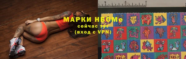 ПСИЛОЦИБИНОВЫЕ ГРИБЫ Алексеевка